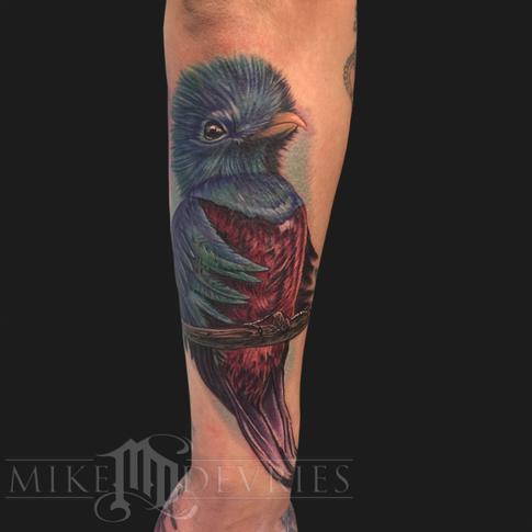 Tattoos - Quetzal Bird Tattoo - 119568